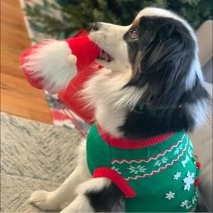 Meet your Posher, Katy